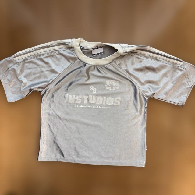 INS STUDIOS シルバー 半袖Tシャツ Sサイズ チビT (1/4)
