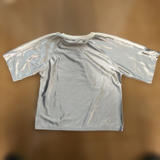 INS STUDIOS シルバー 半袖Tシャツ Sサイズ チビT (2/4)